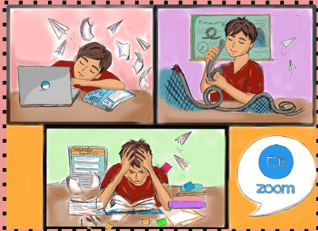 The All-Star Program: Zoom Homework Help Me